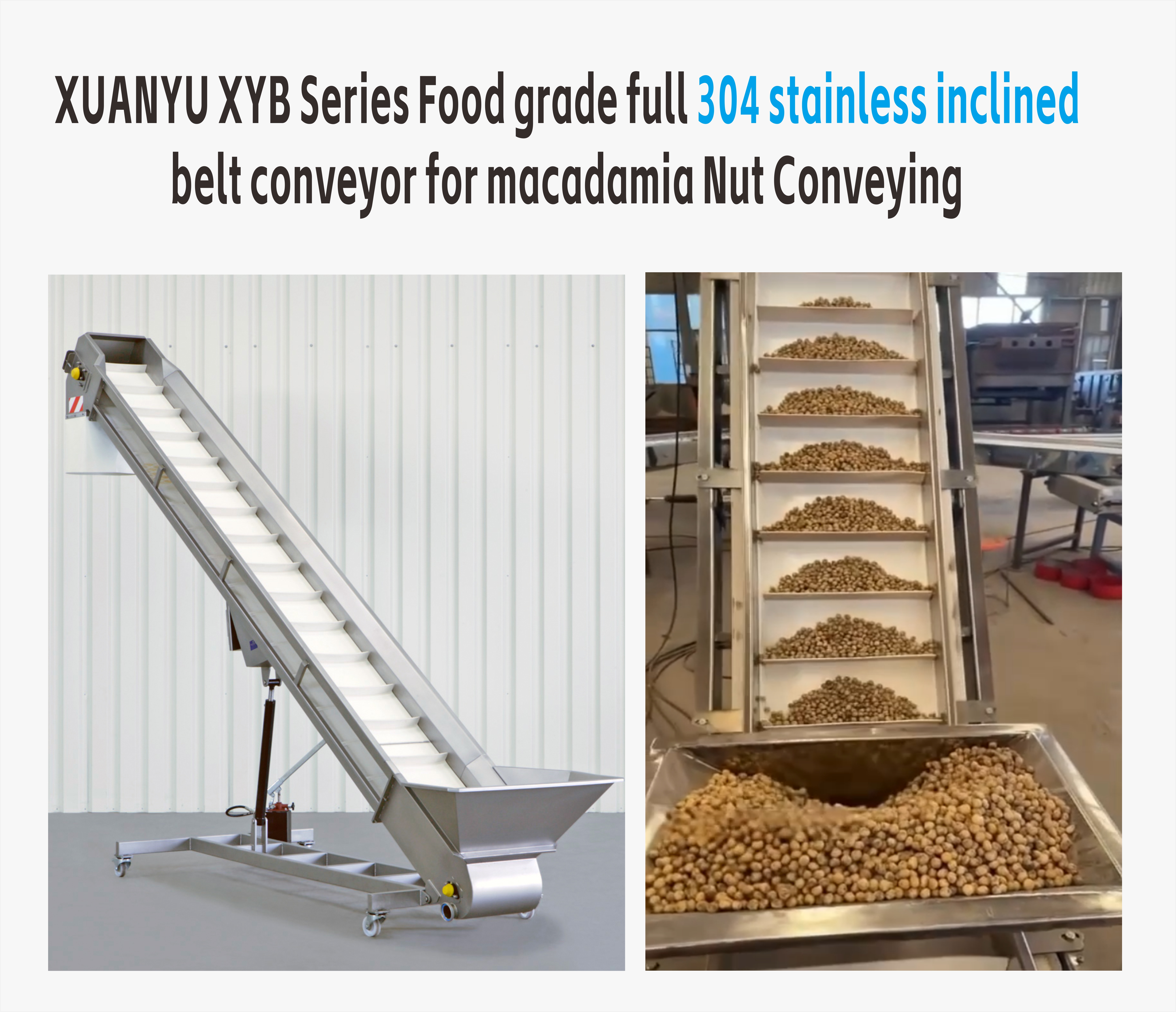 Belt Conveyor for Macadamia Nut Handling
